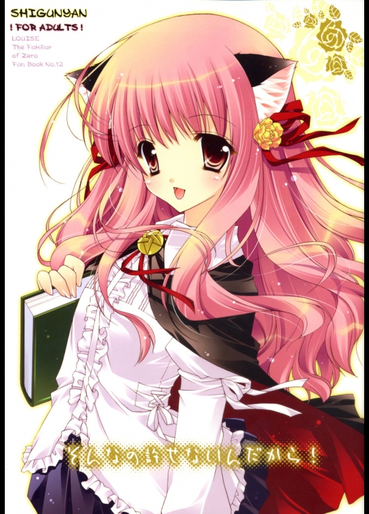 そんなの許せないんだから！ (ゼロの使い魔)