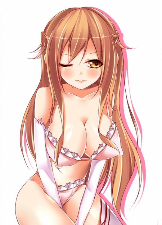 【30枚】SAOのエロ画像集その2