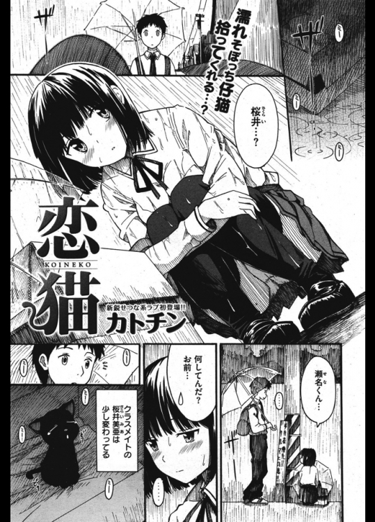 捨て猫とクラスメイトの女子が雨に濡れていたので拾って帰ったら女子が猫を引き取ってくれたら何でもするって言うので処女をいただきましたwww【カトチン 同人誌・エロ漫画】