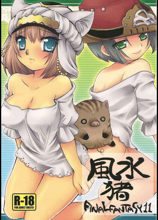 [chaotic_prism]風水猪