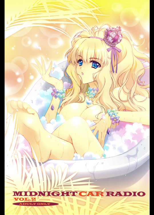 MIDNIGHT CAR RADIO VOL.2