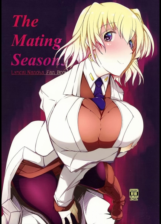 (C86) [EUNOXLINE (U-1)] The Mating Season3 (魔法少女リリカルなのは)_4