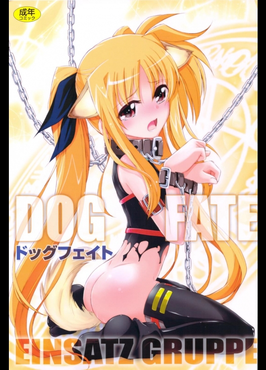 [EINSATZ GRUPPE (チャーリーにしなか)] DOG FATE (魔法少女リリカルなのは)_2