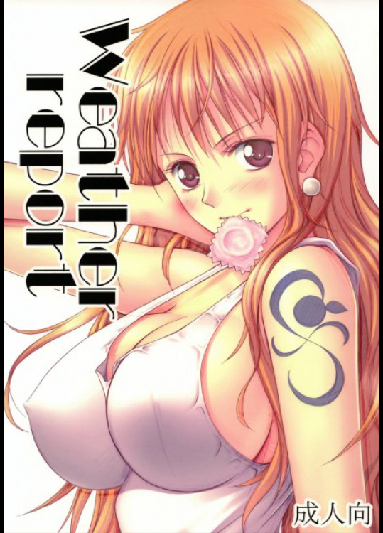 Weather report ONE PIECE(ワンピース)同人誌