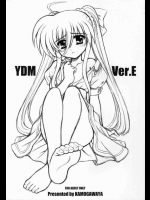 YDM Ver.E