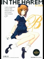 21-1 IN THE HAREM B SIDE