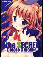 (C78)(同人誌) [MAPLER] the SECRET -before 3 weeks- (オ