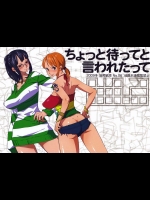 【膣内断面図】【パイズリ】ONE PIECEのエロ同人誌