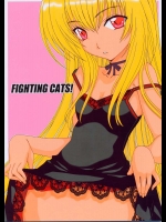 FIGHTING CATS！          