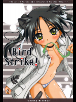 [テラドライヴ]BIRD STRIKE!