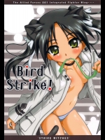 Bird Strike！          