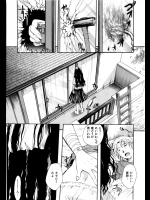 SCHAFT SECURITY SYSTEM