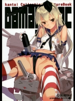 [Lily Lily Rose(みぶなつき)] DAMAGEinc (艦隊これくしょん-艦これ-)_3