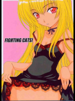 FIGHTING CATS!